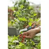 Pruning Shears Gardena VeggieCut Photo 4