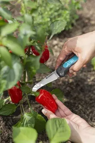 Pruning Shears Gardena VeggieCut Photo 5