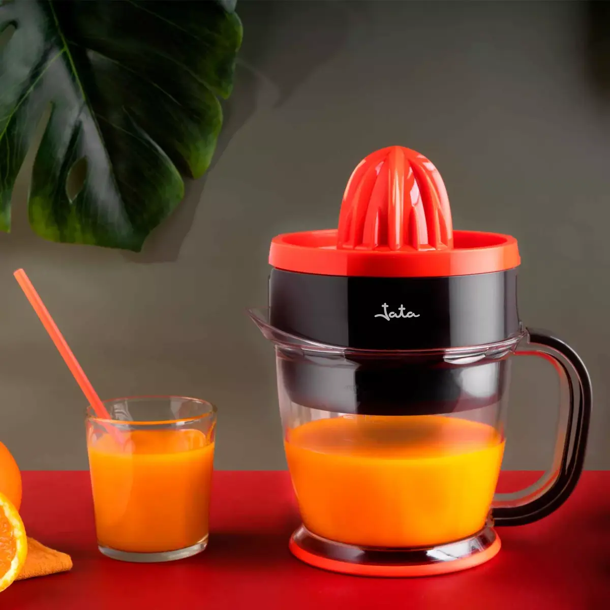Elektriskais citrusaugļu spiediens JATA JEEX1422 Photo 6