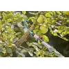 Adapter Gardena 17401-20 Photo 4