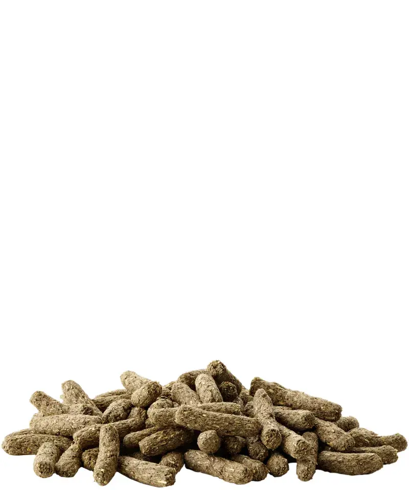 Trusēnu barība VERSELE-LAGA Cuni Sensitive 1.75 kg Photo 2