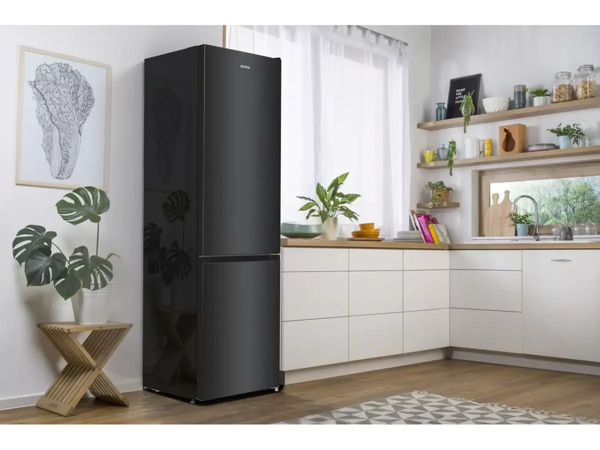 Холодильник Gorenje NRK6202EBXL4 Photo 16