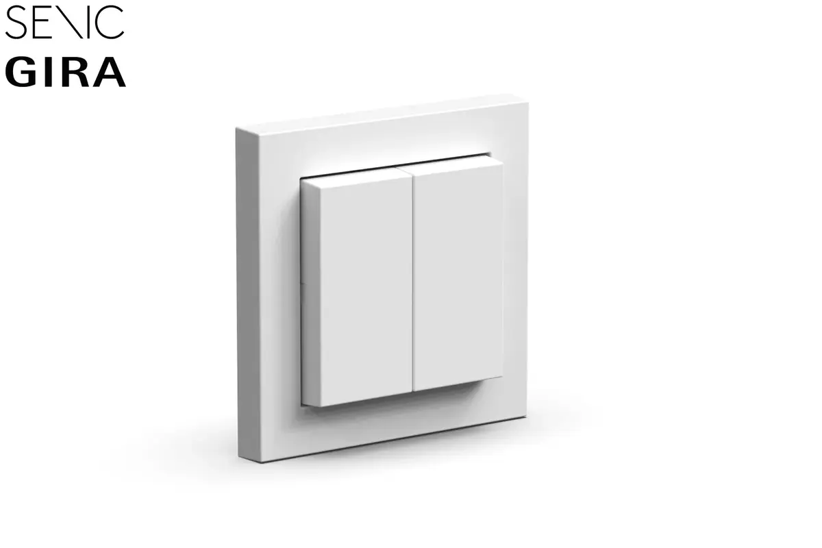 Senic Friends of Hue Switch Световой переключатель Photo 2