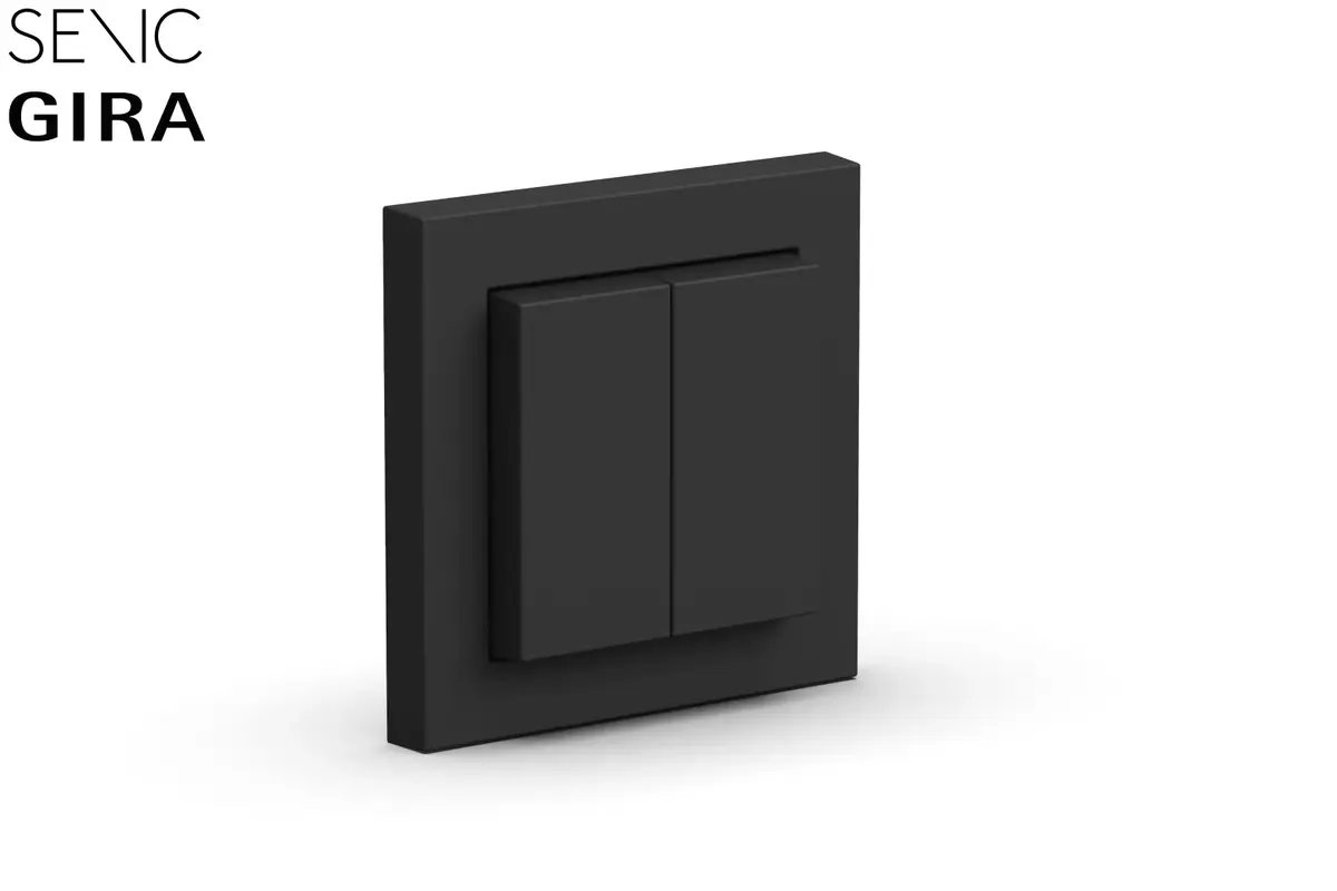 Senic Friends of Hue Switch Световой переключатель Photo 3