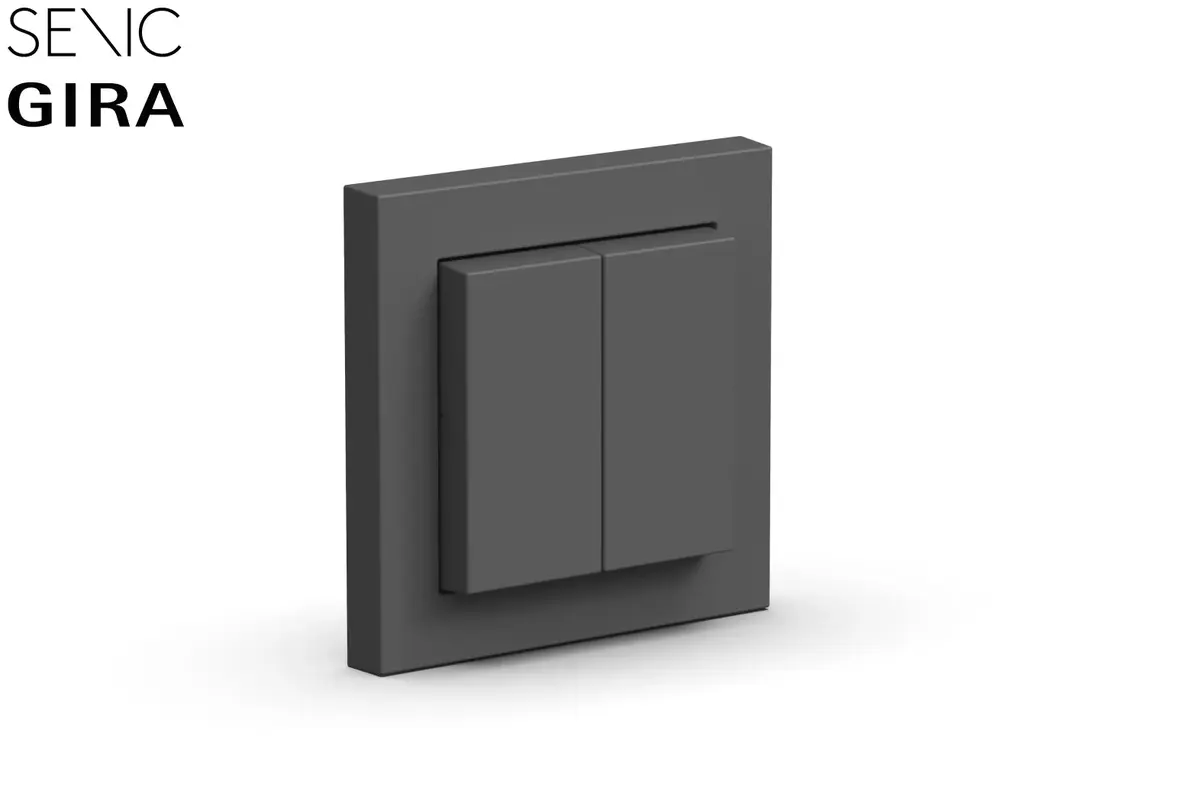 Senic Friends of Hue Switch Световой переключатель Photo 4