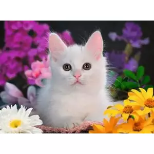 Пазл Ravensburger 13358 — тема «Животные», классический пазл (количество деталей не указано)