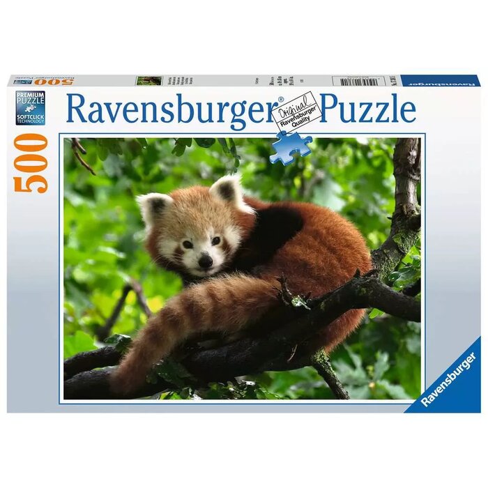 Educational Toys & Puzzles