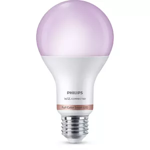 Philips Bulb 13W (Eq.100W) A67 E27