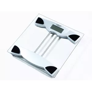 Adler AD 8124 personal scale Square Transparent Electronic personal scale
