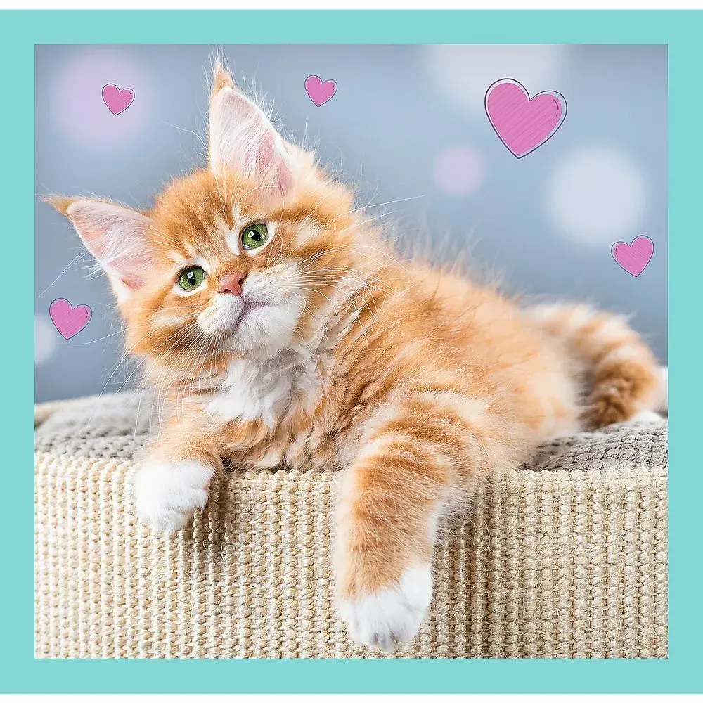 TREFL Puzzle 3w1 Cute pets Photo 3