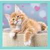 TREFL Puzzle 3w1 Cute pets Photo 3