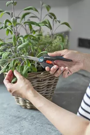 Pruning Shears Gardena FreshCut Bypass Photo 4