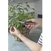 Pruning Shears Gardena FreshCut Bypass Photo 4