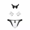Stringi PASSION Slip Passion 036 Alfrojo Black S/M Photo 5