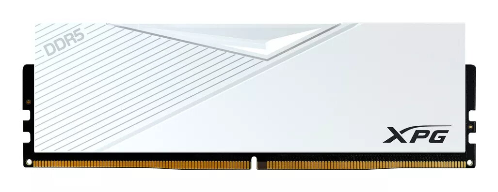 Memory (RAM)