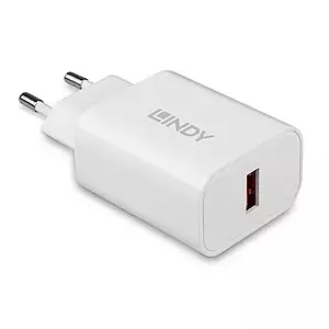 Charger Indoor Outdoor Lindy 73412