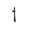 ENDORFY Atlas monitor mount for 27" (VESA 75–100) Photo 8