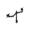 Monitor mount ENDORFY Atlas Double 2×27" Photo 4