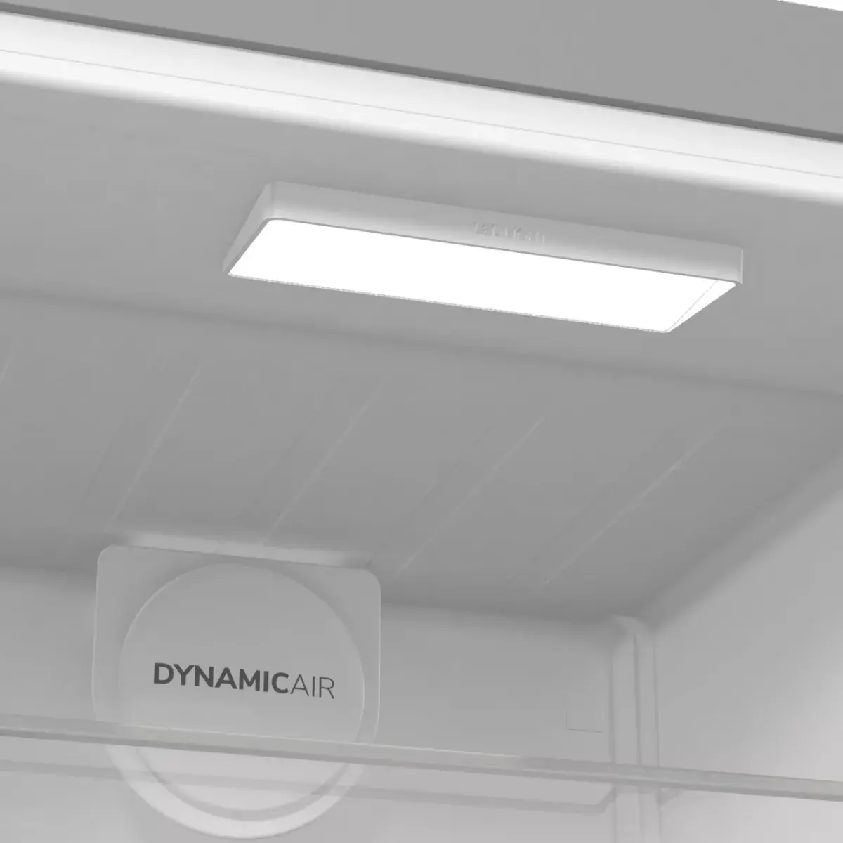 Холодильник Gorenje R619EAXL6 Photo 10