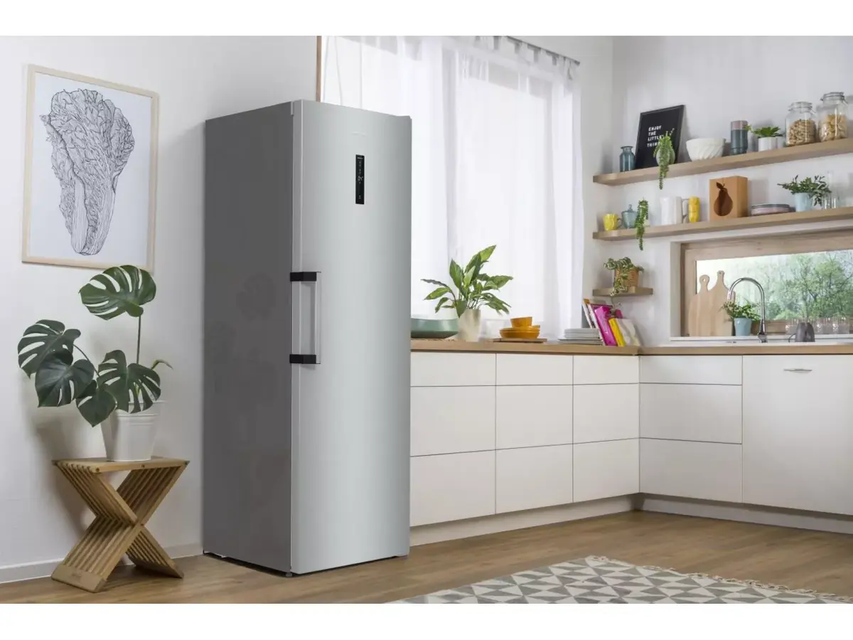 Холодильник Gorenje R619EAXL6 Photo 15