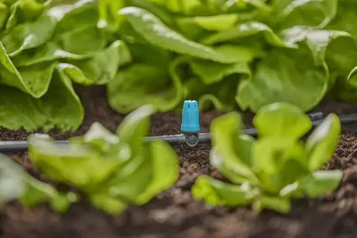 Smidzinātājs Gardena 13316-20 Photo 5