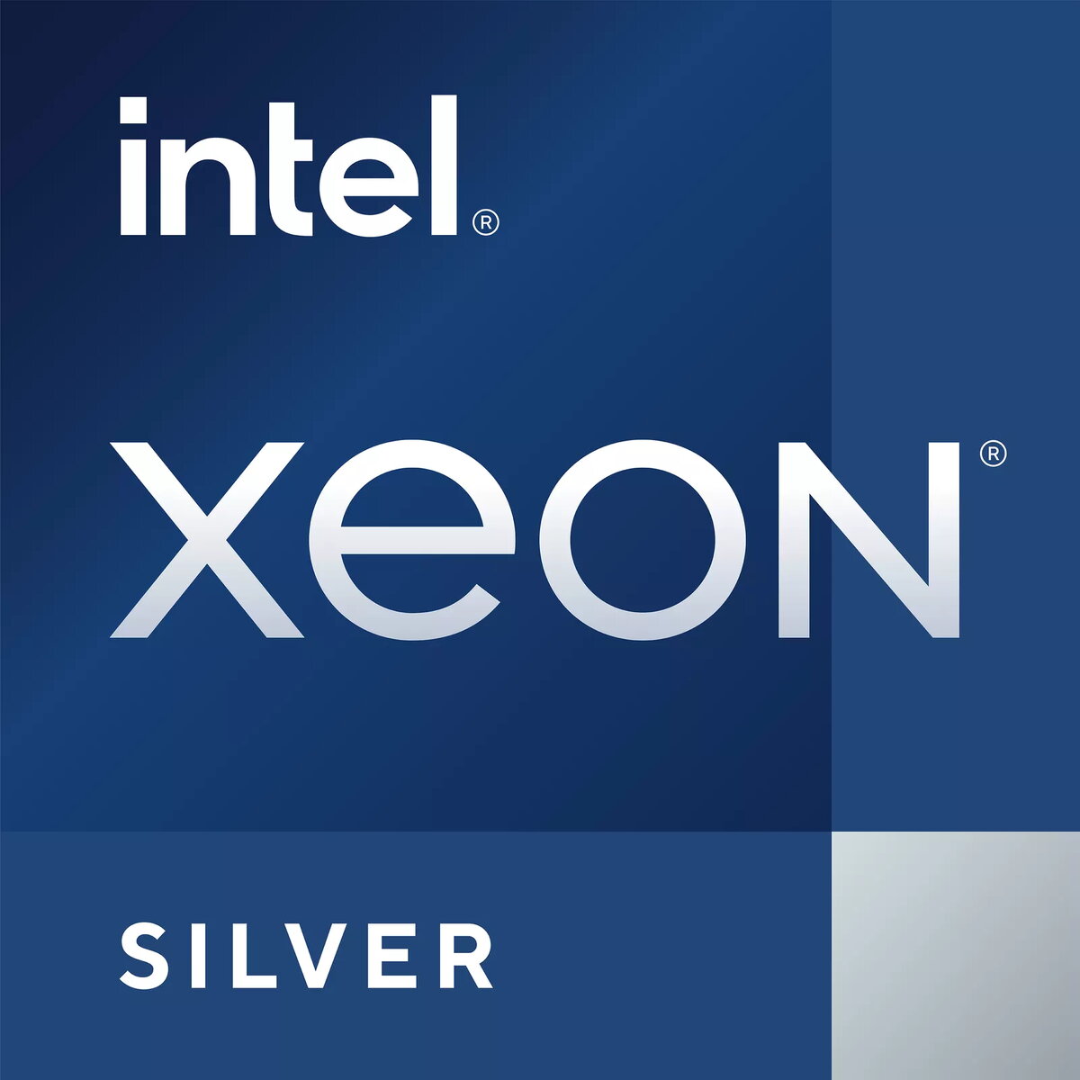 Servera procesors INTEL Xeon Silver 4410Y