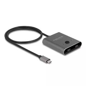 DeLOCK 11500 USB 3.2 Gen 2 Type-C Hub 10000 Mbit/s 144 Hz