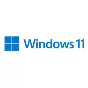 Microsoft Windows 11 Pro 1 license(s)