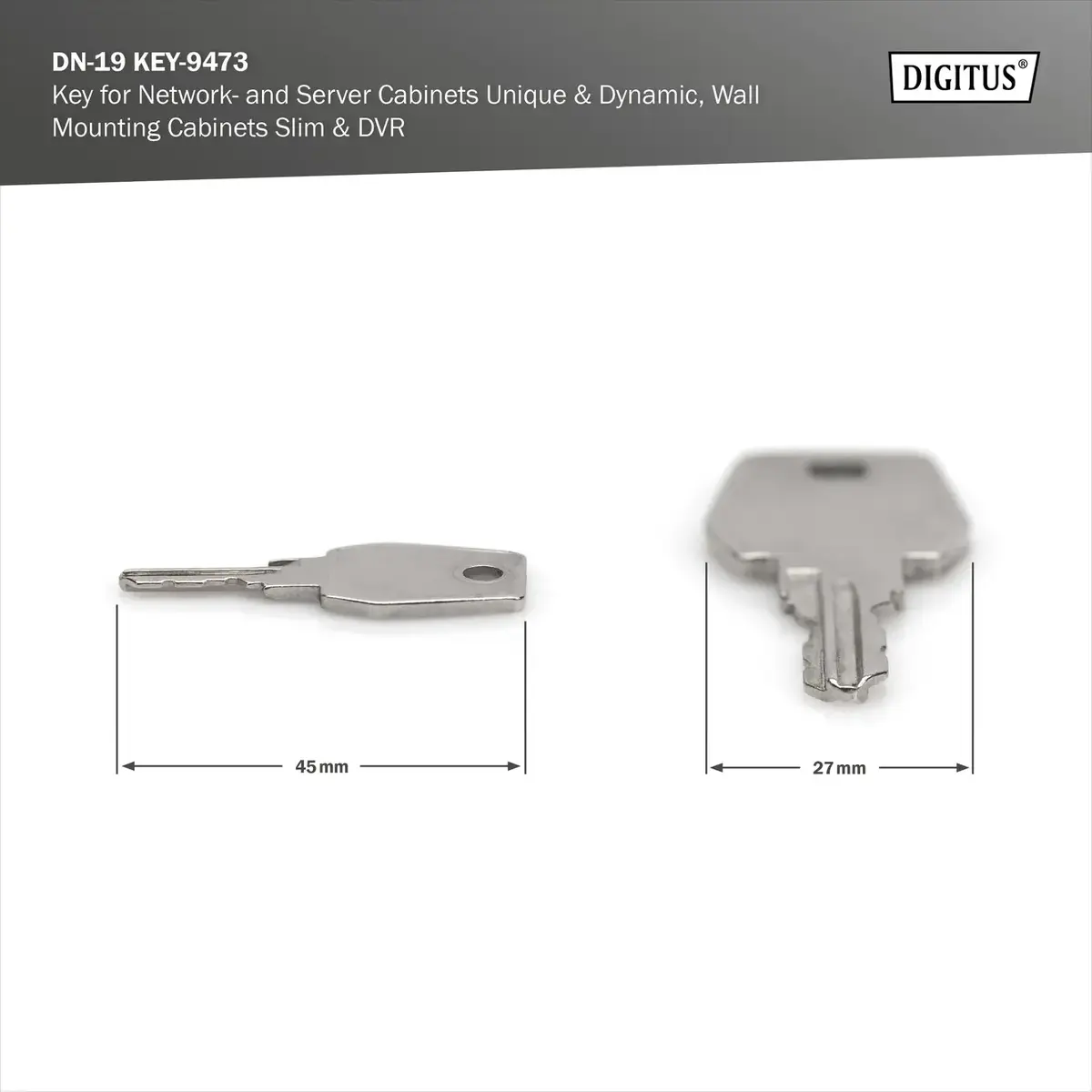 Digitus Key DN-19 KEY-9473 for Server Racks Photo 2