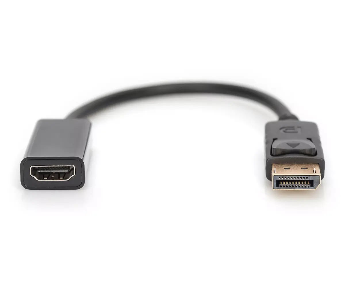 DisplayPort Adapter Digitus AK-340400-001-S Photo 2