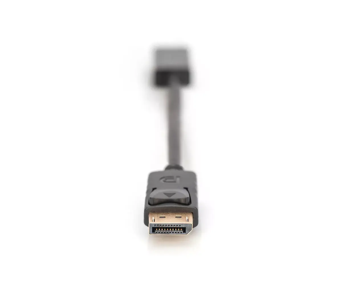 DisplayPort Adapter Digitus AK-340400-001-S Photo 3