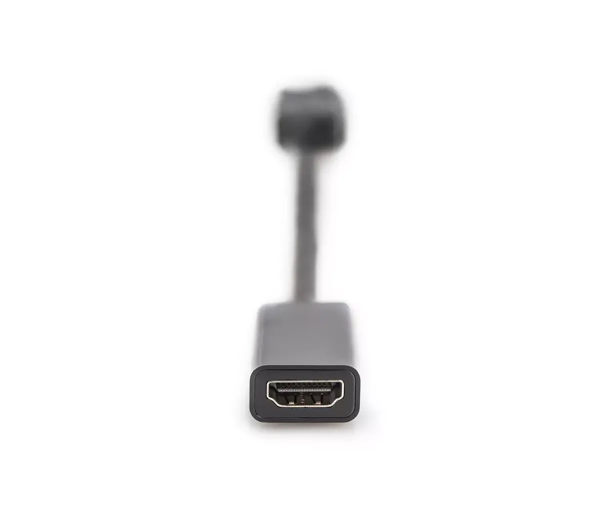 DisplayPort Adapter Digitus AK-340400-001-S Photo 4
