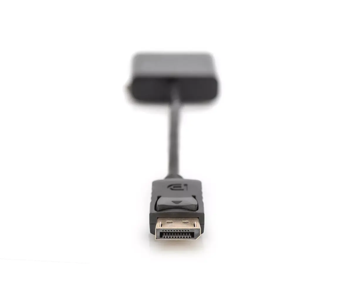 Адаптер DisplayPort на DVI Digitus AK-340409-001-S Photo 4