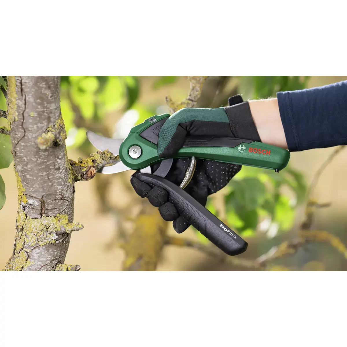 Bosch EasyPrune zaru šķēres — bypass, 2,5 cm Photo 3
