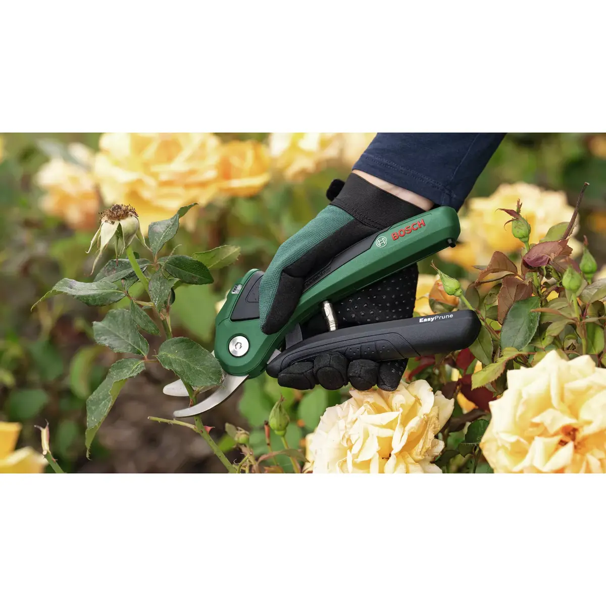 Bosch EasyPrune zaru šķēres — bypass, 2,5 cm Photo 4