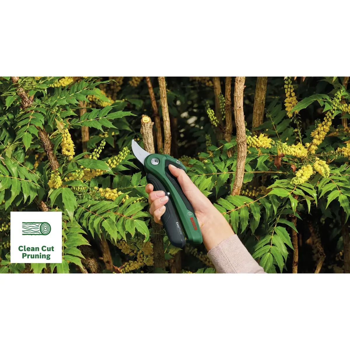 Bosch EasyPrune zaru šķēres — bypass, 2,5 cm Photo 8