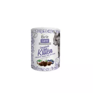 Complementary wet cat treat Brit Superfruits Kitten 100 g — chicken flavor, 36% protein, 17% fat