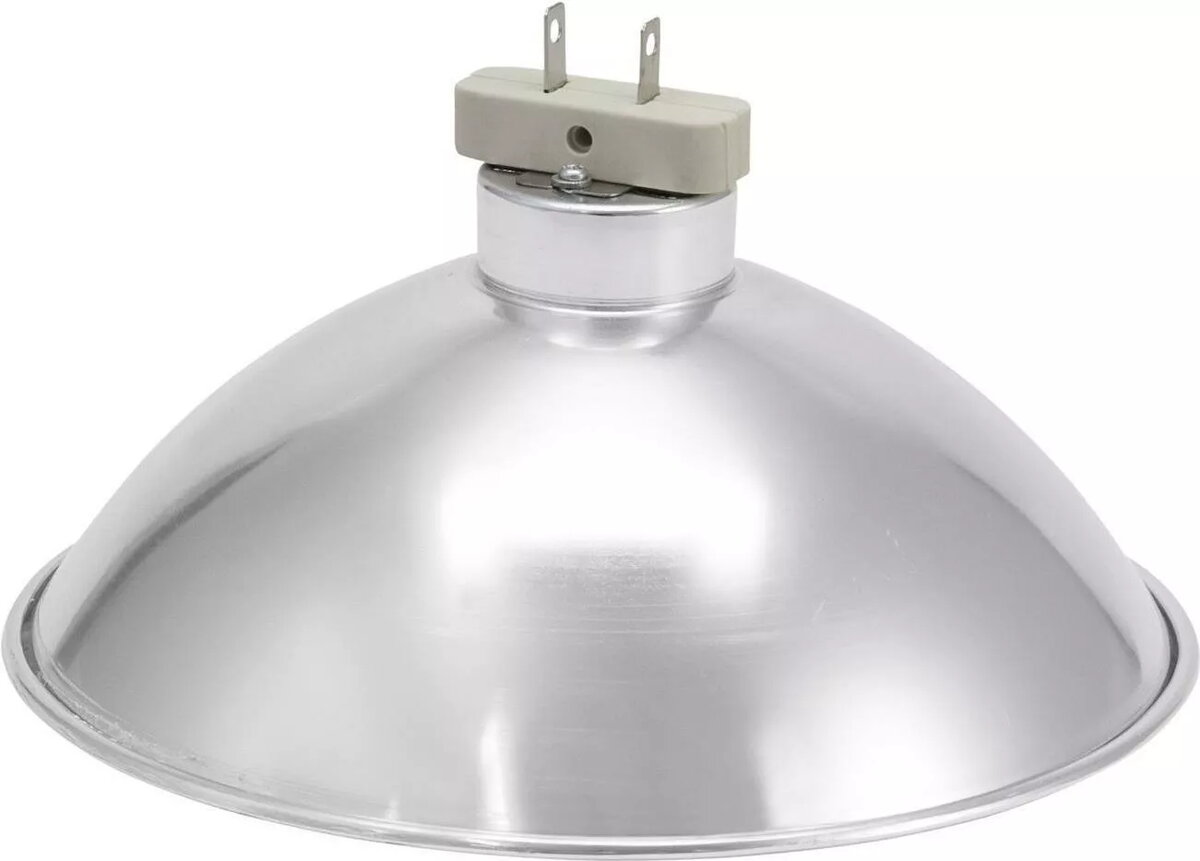 Projector Bulbs & Lamps