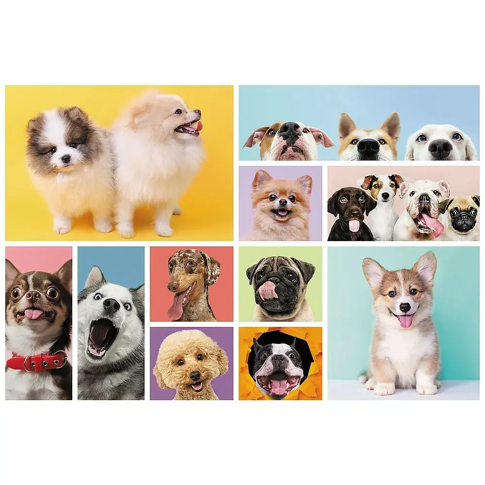 TREFL Puzle 160 gab. — Dogs friends Photo 2
