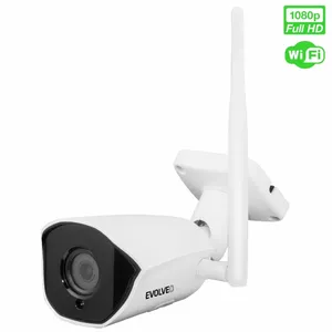 IP security camera Evolveo WiFI IP Detective WIP 2M SMART 1920 x 1080