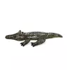 Bestway Realistic Reptile — детский плот-каталка Photo 4