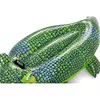 Piepūšamais Bestway Buddy Croc 670×1480 mm Photo 5