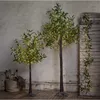 Light decoration figure Star Trading 860-53 Photo 2