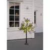 Light decoration figure Star Trading 860-52 Photo 5