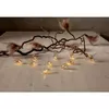 Light decoration chain Star Trading 729-60 Photo 4