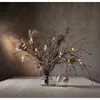 Light decoration chain Star Trading 729-60 Photo 10