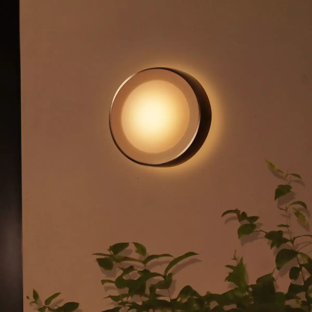 Āra sienas apgaismojums Philips Hue White and colour ambience Daylo Photo 4
