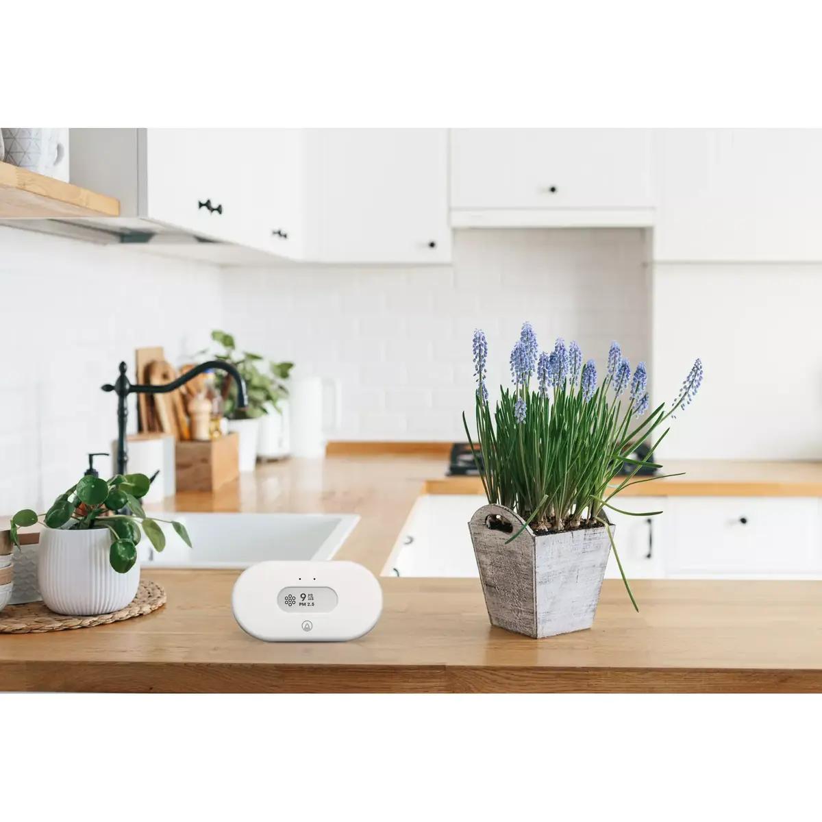 Airthings 2980 smart home multi-sensor Photo 16