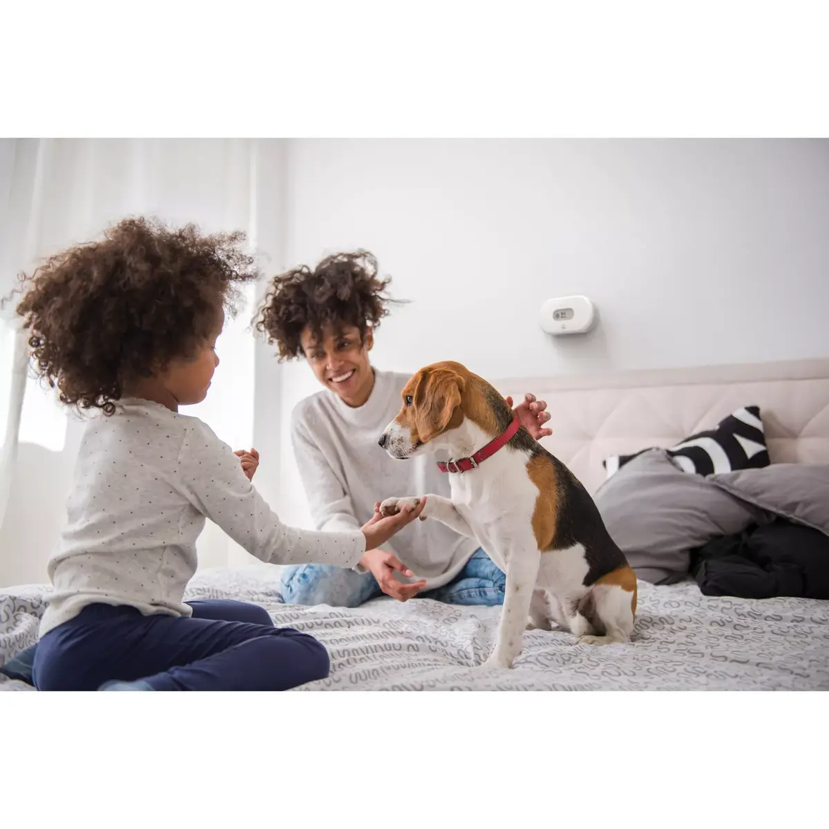 Airthings 2980 smart home multi-sensor Photo 18