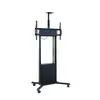 Hagor HP Twin Lift M-B Photo 3